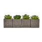 Hestia Set of 4 Faux Plants in a Cement Pot "Home " 6 x 6 cms