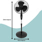 Domestic King 16 Inch Pedestal Fan Black- DK18070