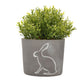 Hestia Hare Silhouette Planter with Plant 10cm Diameter