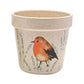 Country Living Set of 2 Planters - Robin