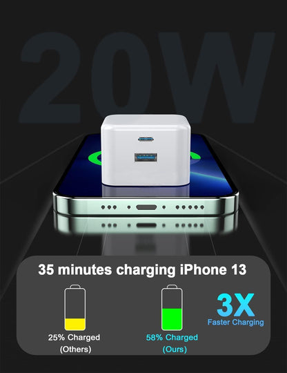 Panther Force 20W Plug with USB-A and Type-C