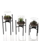 Hestia Set of 3 Glass Planters with Faux Succulent