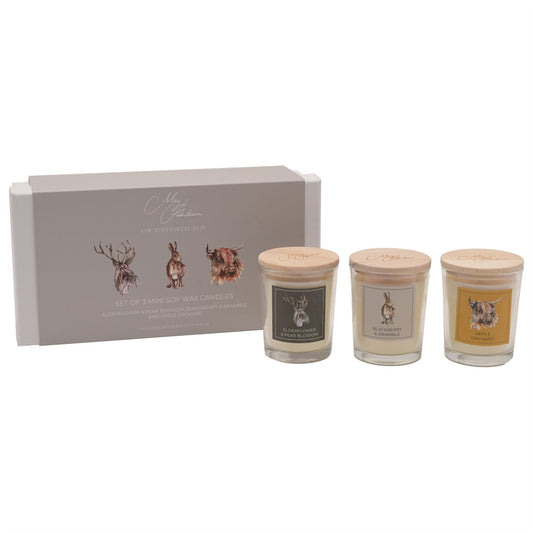 Meg Hawkins "Favourites" Set of 3 Mini Candles 70g