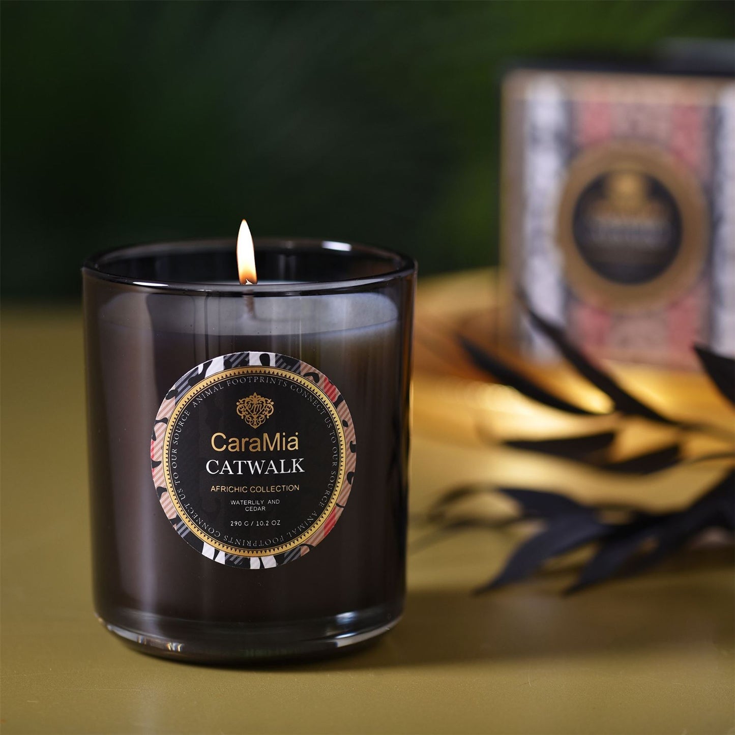 Luxury 290g Candle Catwalk