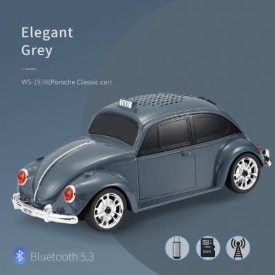 WSTER Car Speaker with Bluetooth & FM Radio