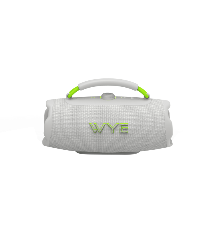 WyeWave40W High Fidelity Wireless Speaker