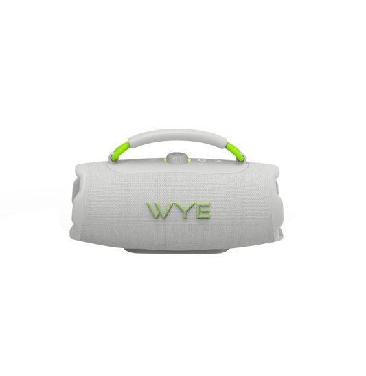 WyeWave40W High Fidelity Wireless Speaker