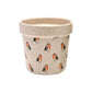 Country Living Set of 2 Planters - Robin