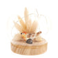 Hestia Bird with Pampas Grass with LED Lights Ornament 10cm