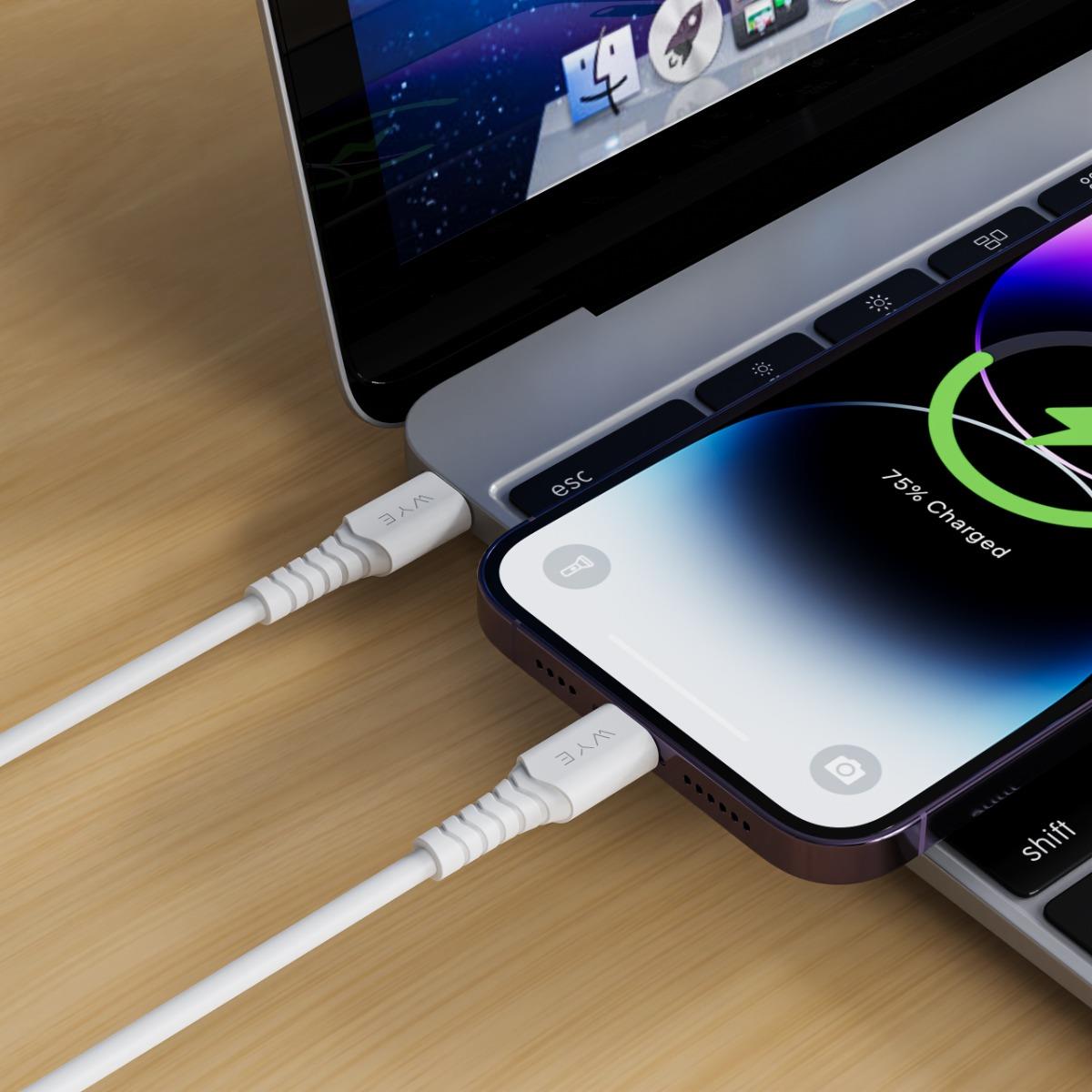 WYE USB-A to USB-C Fast Charging & Data Cable 1m