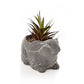 Large Cement Effect Rabbit Planter with Succulent