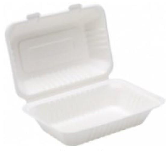 Strong Paper Box Biodegradable Bagasse Disposable  (Pack of 100)