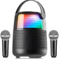 Mi-Mic Bluetooth Karaoke Speaker With 2 Mics