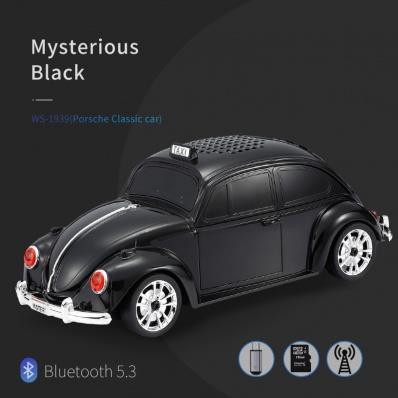 WSTER Car Speaker with Bluetooth & FM Radio