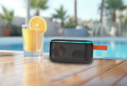 Wye 5W ProSound Wireless Capsule Speaker