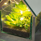 Hestia Glass House Style Ornament with LED Lights