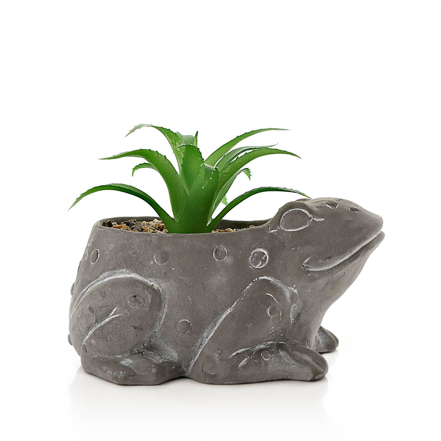 Large Cement Effect Frog Planter with Succulent