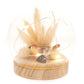 Hestia Bird with Pampas Grass with LED Lights Ornament 10cm