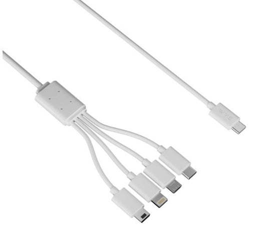 WYE DC71-4-in-1 Data & Charging Cable 0.35m