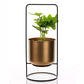 Hestia Faux Plant in Gold Planter 40cm