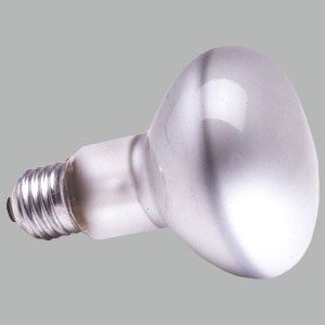 R80 ES 60w Spot Lamp