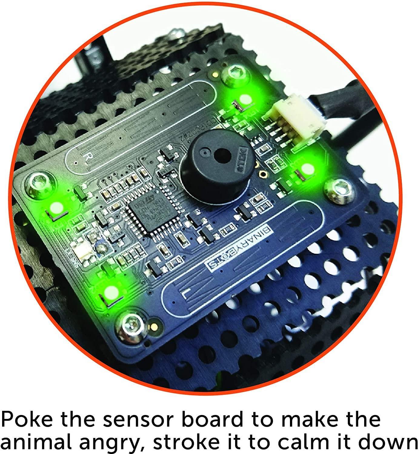 BinaryBots - Totem Crab™ | The STEM Toy Robot You Can Code