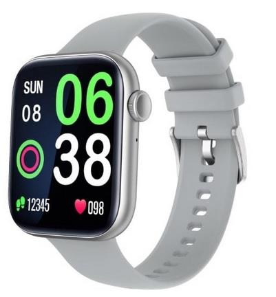 C6 Smart Watch Grey Silicon Strap Silver Case