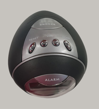 Spacetech Silver Alarm Clock With FM Radio 6160