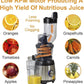 Quest Slow Masticating Juicer 300W (Carton of 1)