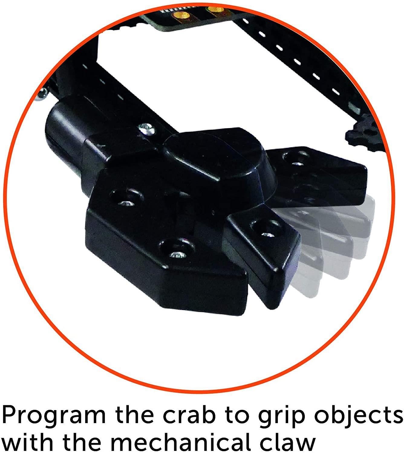 BinaryBots - Totem Crab™ | The STEM Toy Robot You Can Code