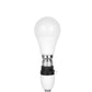 Intempo Smart 7W Light Bulb With App Control- Fitting Type Bayonet (B22)
